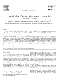 Metabolic effects of voluntary wheel running in young
