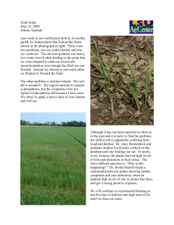 Field Notes May 18, 2009 Johnny Saichuk Last