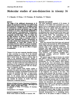 Molecular studies of non-disjunction in trisomy 16