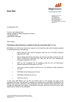 Appendix 1 - Authority to Act on Behalf of Joint Ventures