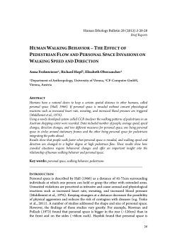 human walking behavior &ndash;the effect of pedestrian flow and personal