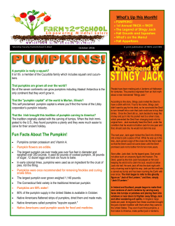 October Pumpkins 2016