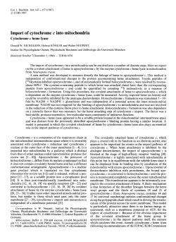 Import of cytochrome c into mitochondria