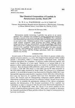 The Chemical Composition of Lambda in