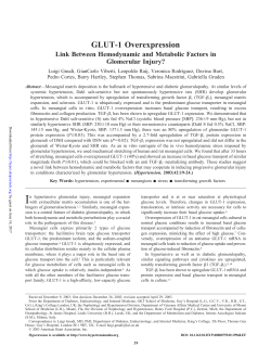 GLUT-1 Overexpression