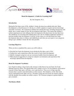Brain Development: A Guide for Licensing Staff