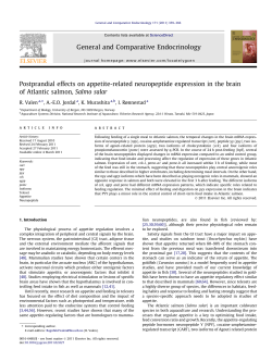 Postprandial effects on appetite-related neuropeptide expression in
