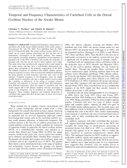 Temporal and Frequency Characteristics of Cartwheel Cells in the
