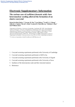 Electronic Supplementary Information