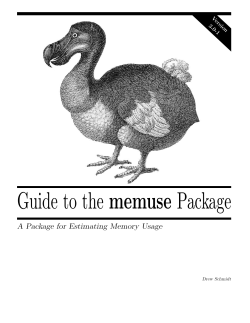 Guide to the memuse Package