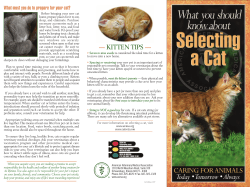 Selecting a Cat
