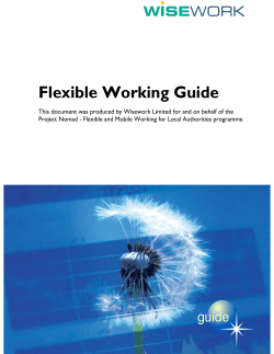 Flexible Working Guide