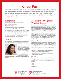 Knee Pain - Harvard Pilgrim Health Care