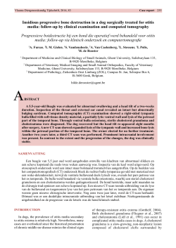 Insidious progressive bone destruction in a dog surgically treated for