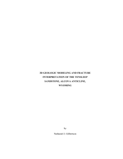 3D GEOLOGIC MODELING AND FRACTURE