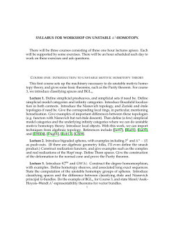 SYLLABUS FOR WORKSHOP ON UNSTABLE A 1