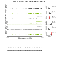 AFE in LCL following exposure to Mono-n-butyl