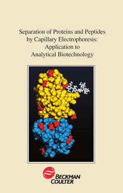 Separation of Proteins and Peptides by Capillary