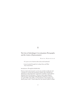 The Grin of Schr&ouml;dinger`s Cat: Quantum Photography and the Limits
