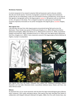 Revisionary Taxonomy A central component of my research