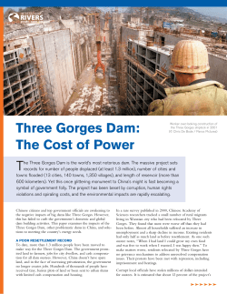 Three Gorges Dam: The Cost of Power