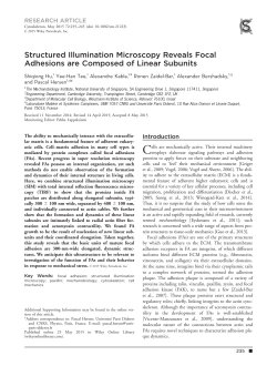Hu_et_al-2015-Cytoskeleton - Zaidel