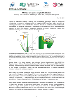 Press Release - (ITbM), Nagoya University