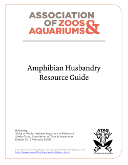 Amphibian Husbandry Resource Guide