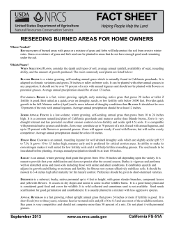 Reseeding Burned Areas For Home Owners