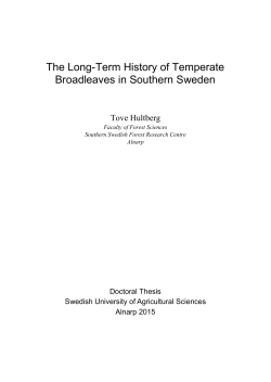 The Long-Term History of Temperate Broadleaves in Southern