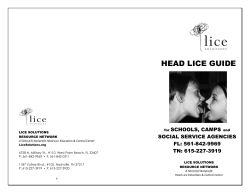 head lice guide - Lice Solutions