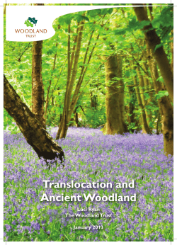 Translocation and Ancient Woodland