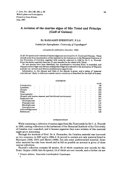 A revision of the marine algae of So Tom and Principe (Gulf of Guinea)