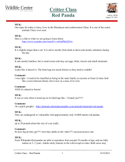 Critter Class Red Panda - The Wildlife Center of Virginia