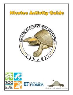 Hicatee Activity Guide