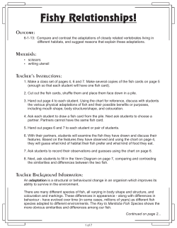 Fishy Relationships!