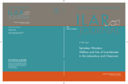 Spineless Wonders: Welfare and Use of Invertebrates in the