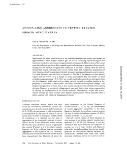 myosin-like aggregates in trypsin