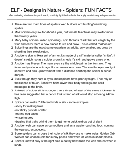 ELFанаDesigns in NatureанаSpiders: FUN FACTS