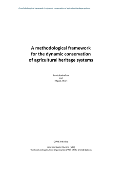 Methodological Framework Toward a Dynamic Conservation of