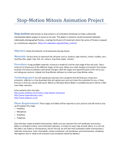 Stop-Motion Mitosis Animation Project