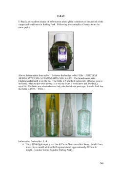 CHAPTER ELEVEN E-BAY