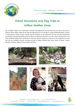 School Excursion Packages
