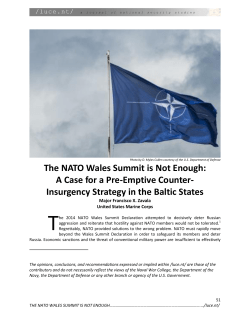 The NATO Wales Summit is Not Enough