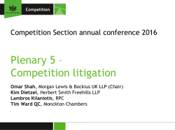 Plenary 5 &ndash; Competition litigation