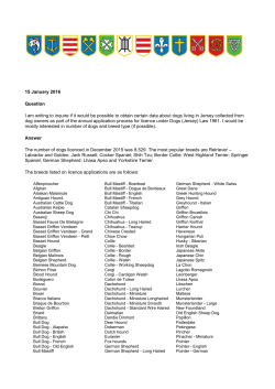 Dog numbers and breeds