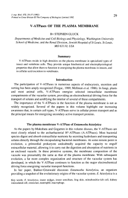 V-ATPases OF THE PLASMA MEMBRANE