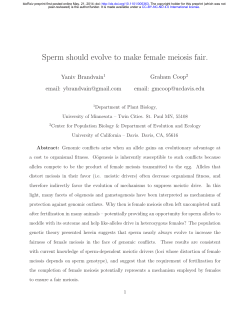 Sperm should evolve to make female meiosis fair.