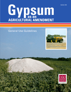 Gypsum as an Agricultural Amendment