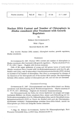 Nuclear DNA Content and Number of Chloroplasts in